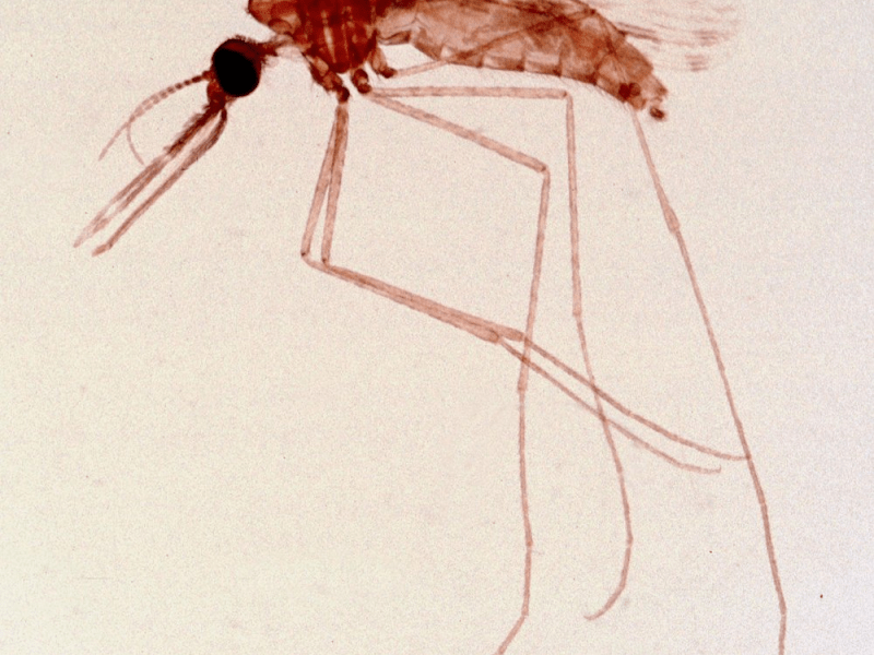 Essay published in The Hopper&nbsp;magazine